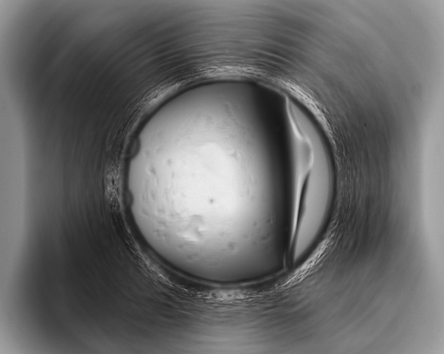 X0000096191041200802081516