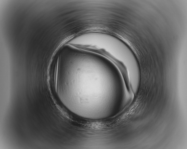 X0000096191042200802081516