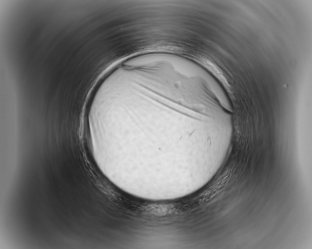 X0000096191044200802081516