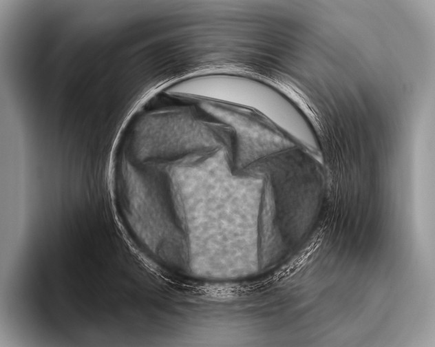 X0000096191046200802081516