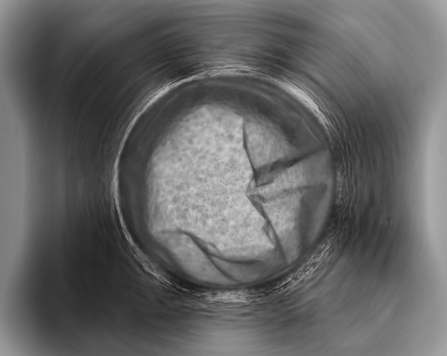 X0000096191047200802081516