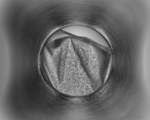 X0000096191048200802081516