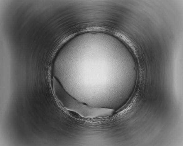 X0000096191049200802081516