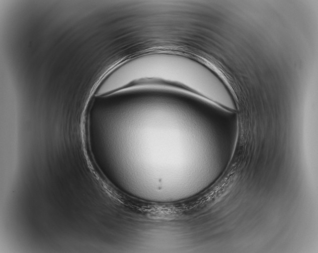 X0000096191050200802081516