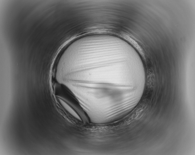 X0000096191051200802081516