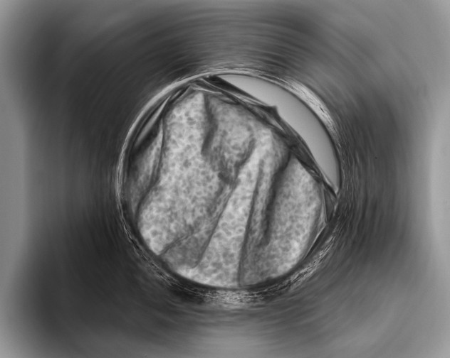 X0000096191052200802081516