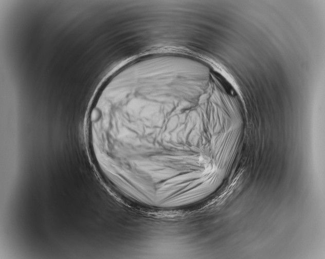 X0000096191053200802081516