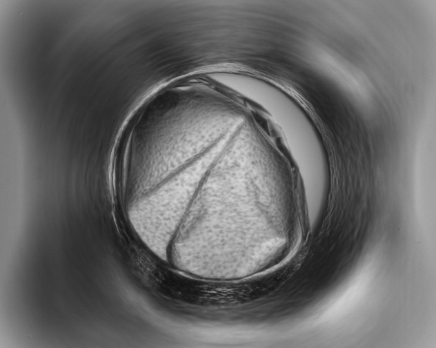 X0000096191054200802081516