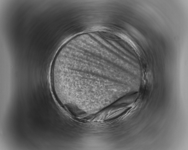 X0000096191055200802081516