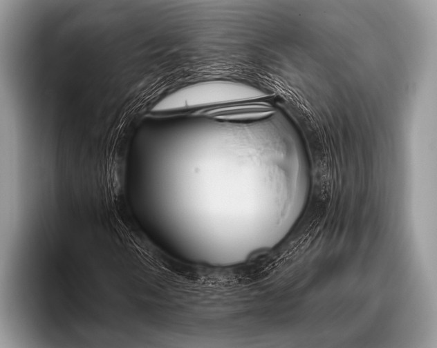 X0000096191058200802081515