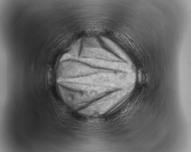 X0000096191059200802081515