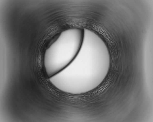 X0000096191060200802081515