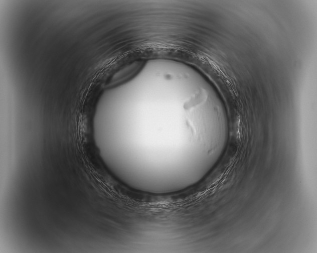 X0000096191062200802081515