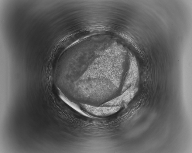 X0000096191063200802081515