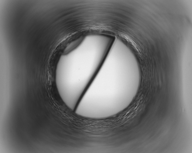 X0000096191064200802081515