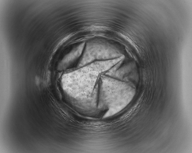 X0000096191066200802081515