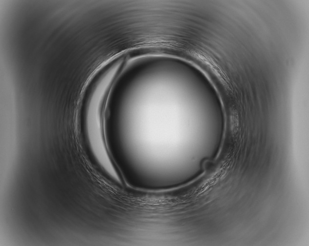 X0000096191069200802081515