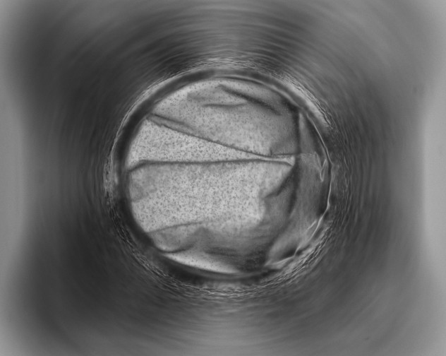 X0000096191070200802081515