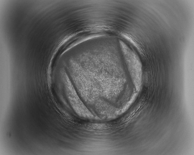 X0000096191071200802081515