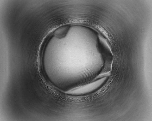 X0000096191072200802081515