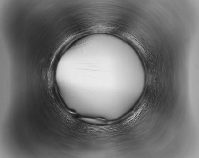 X0000096191075200802081515