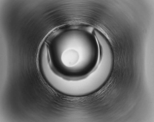 X0000096191076200802081515