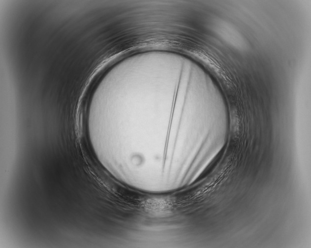 X0000096191078200802081515