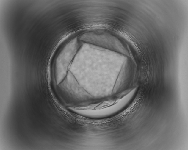 X0000096191079200802081515