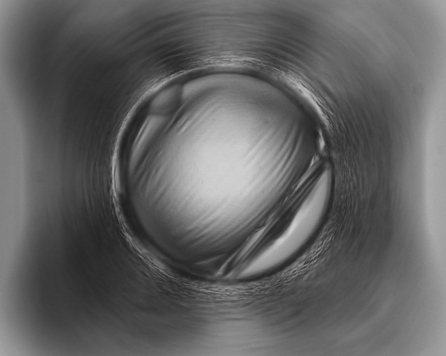 X0000096191080200802081515