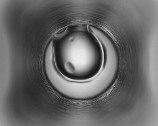 X0000096191081200802081515