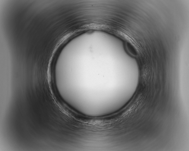 X0000096191082200802081515