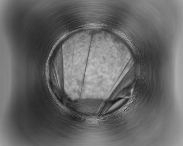 X0000096191083200802081515