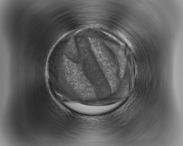 X0000096191084200802081515