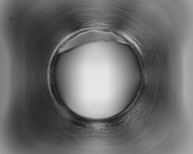 X0000096191085200802081515