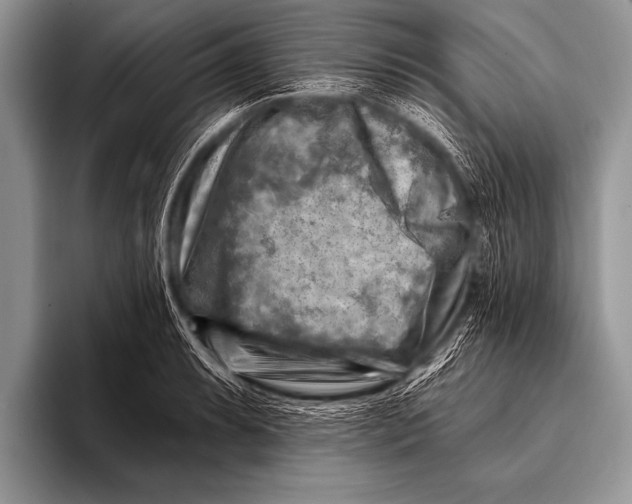 X0000096191087200802081515