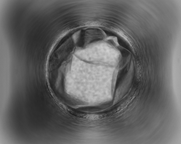 X0000096191088200802081515