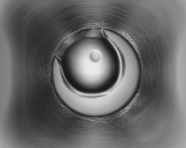 X0000096191089200802081515