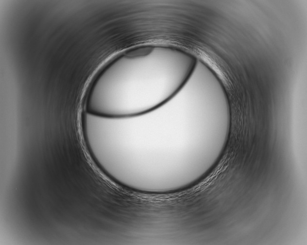 X0000096191092200802081515