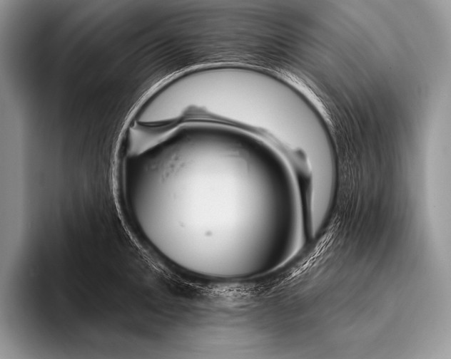 X0000096191093200802081515