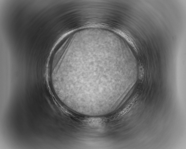 X0000096191094200802081515