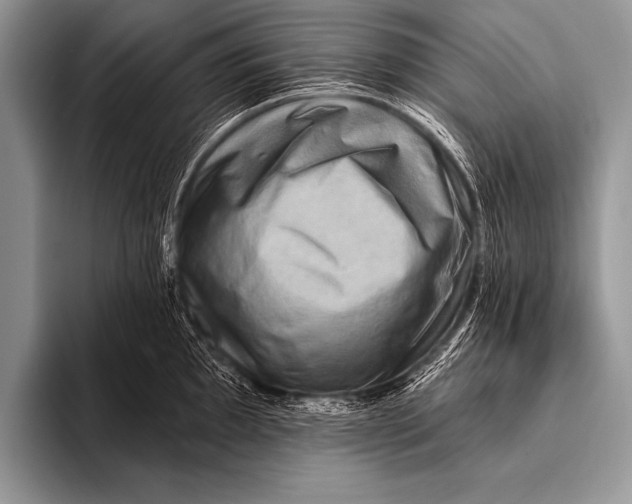 X0000096191097200802081515