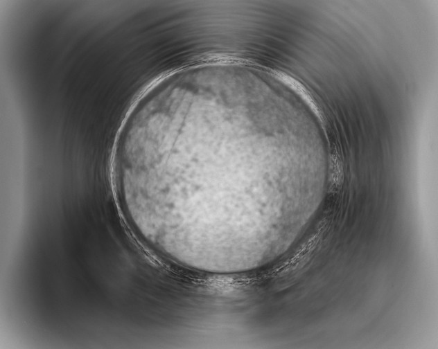 X0000096191098200802081515