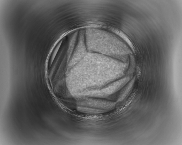 X0000096191099200802081515