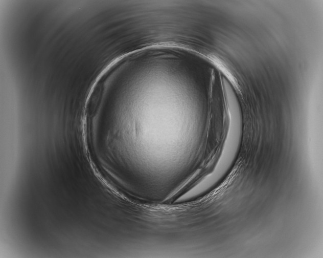 X0000096191100200802081515