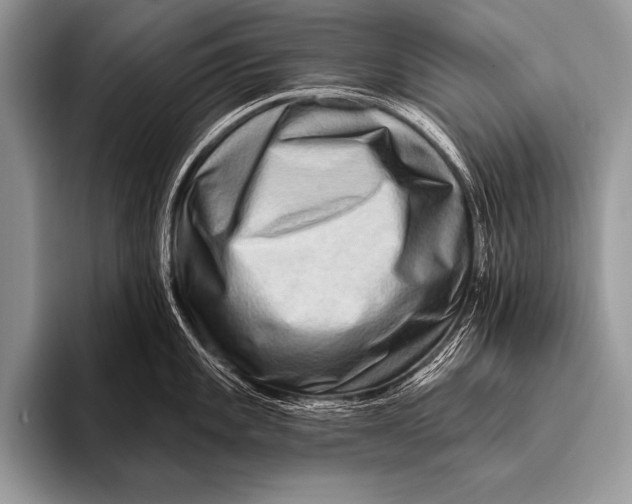 X0000096191101200802081515