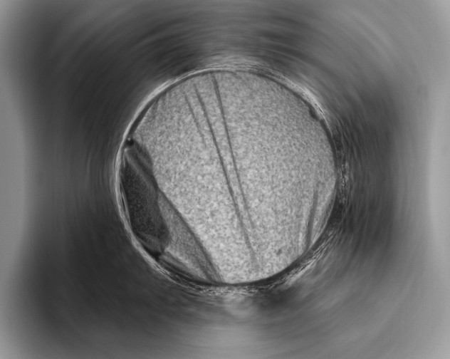 X0000096191103200802081515