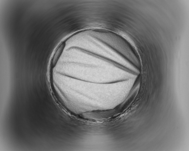 X0000096191104200802081515