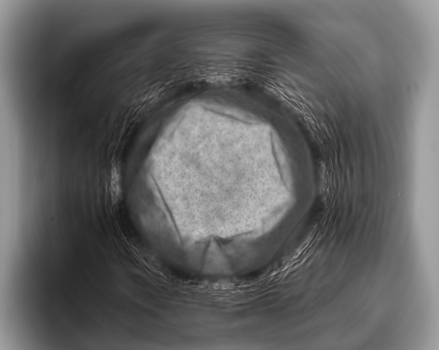 X0000096191106200802081514