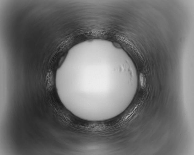 X0000096191107200802081514