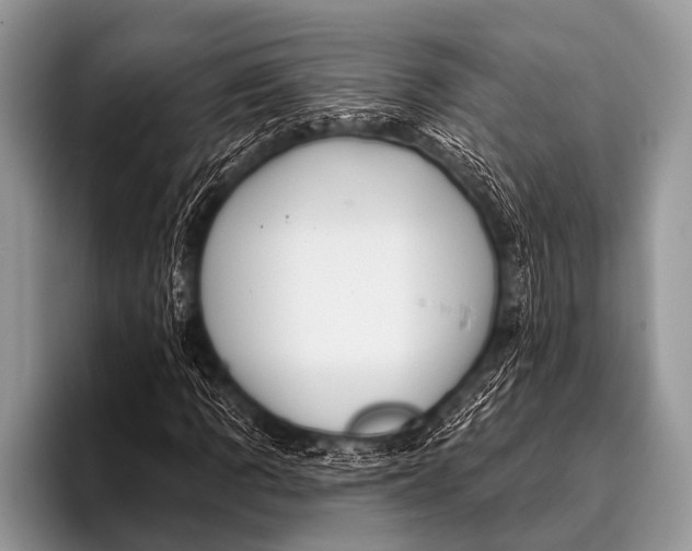 X0000096191109200802081514